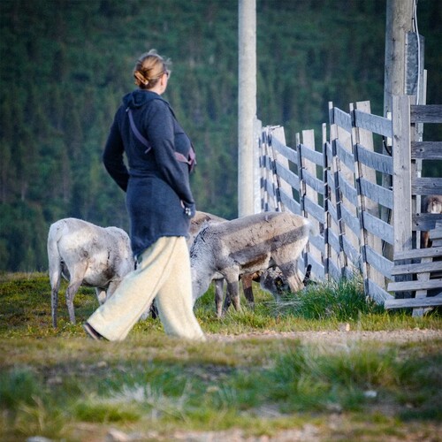 ABENTEUER SABBATICAL 9 Wochen Skandinavien! ⭐ Nach 26 Jahren hat sich Karin eine wohlverdiente Auszeit gegönnt. Mit dem...